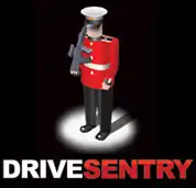 DriveSentry Security Logo