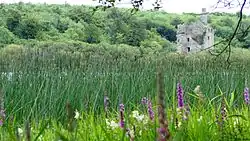 Dromore Castle