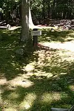 Confederate Graves