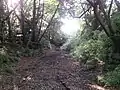 Dry moat between Honmaru and Ninomiya-jinja Shrine