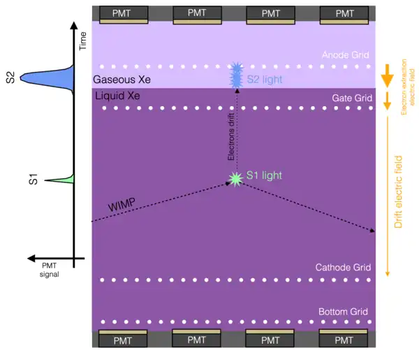 A simple diagram of the operational principle of a dual-phase xenon TPC. During an interaction, S1 light (green) and S2 light (blue) are produced, and a fraction of each may be seen by the PMT arrays at the top and bottom of the detector. Note that this diagram is not to scale, and that LZ has many more than 4 PMTs in each array.