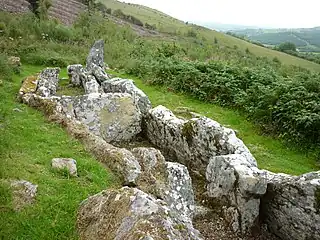 Dual court tomb, Aghanaglack, Northern Ireland.