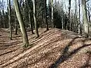 Dünsberg hillfort rampart remains