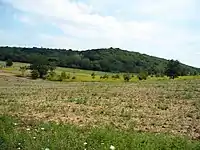 Landscape near Veresegyház