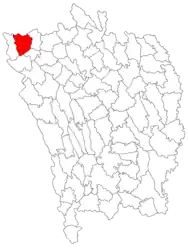 Location in Vaslui County