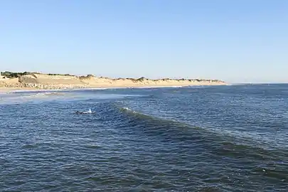 A 1,5 km way along the Sand dunes in Ofir, Esposende.