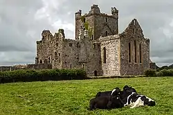 Dunbrody Abbey lies 1 km west of Campile