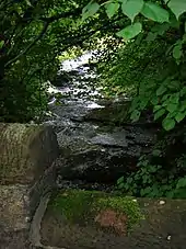 The Dusk Water running after the junction to the old mill race which took the water to the saw mill