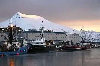 Crab boats docked at Dutch Harbour in January 2009.