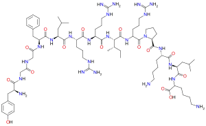 Chemical structure of dynorphin A.