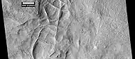 Network of ridges, as seen by HiRISE under HiWish program  Ridges may be formed in various ways.