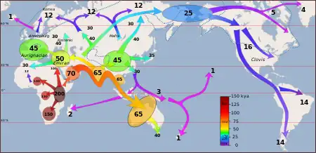 World map with arrows showing human migrations