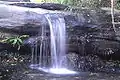 Waterfall, Bronte Gully