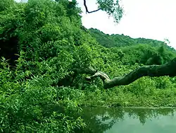 Eastern Ghats at Srungavarapukota