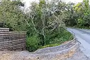 Crossing under Canyon Road