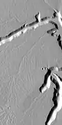 Dendritic channels on mesa of Echus Chasma.  Image is 20 miles wide.  Image is in Coprates quadrangle.