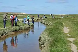 Nature and environment excursion in De Slufter