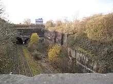 The cutting behind Edge Hill Station with the entrance to Wapping Tunnel(1826–29; unlisted)