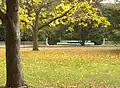 Edgerton Park with Brewster Fountain