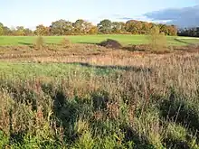 Grassland in Edgwarebury Park, taken from the A41 Edgware Way/Watford-by-Pass. This is the far north, rural area of Edgware.