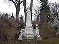 Grave of Eduard Albert in a cemetery in Vienna