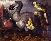 An oil painting depicting a red-feathered parrot with yellow wing tips; a large, ungainly, duck-like bird with grey, white and yellow feathers; a parrot with a black back, yellow breast and a yellow and black tail; and a brown-feathered bird with a long bill eating a frog.