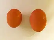 Comparison of an egg and a maxi egg with a double-yolk - closed (1/2)