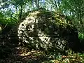 The ice house in the Old Woods from near the Draught Burn.