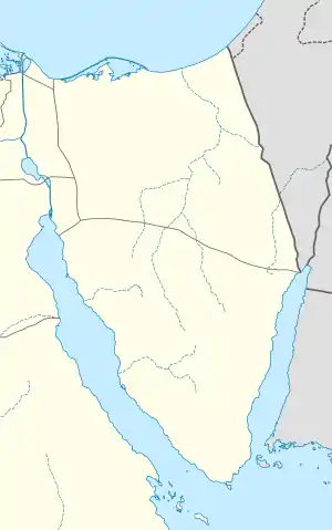 AAC is located in Sinai