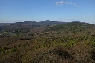 View from Atzelberg Tower along the main ridge of the Taunus