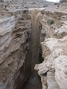 Flash flood in Ein Avdat.