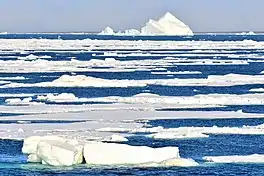 Northeast coast of Bolshevik Island: iceberg road (79°28‘N, 103°E)