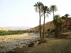 The oasis at El Oueldja