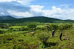 Tangamandapio, Michoacán