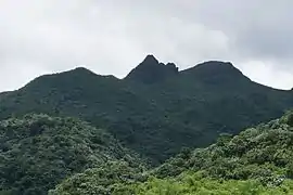 Los Picachos and El Yunque from Yokahu Tower