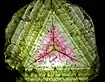 Watermelon tourmaline