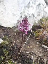 Leroy Basin, Washington (State)