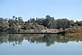 Pier at Elkhorn Slough 2016