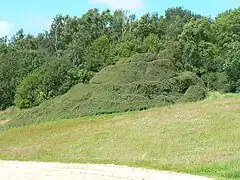 Spiral Hill in 2009 covered with vegetation