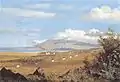 Rose Ranch, Ulupalakua, on the Slopes of Haleakala, Maui, 1865, oil painting, Honolulu Museum of Art