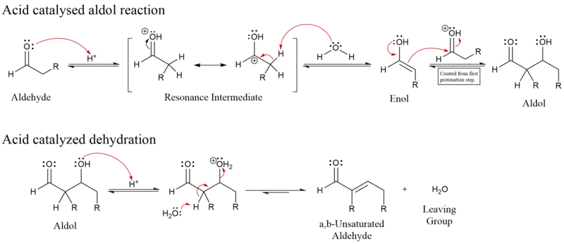 Enol Mechanism