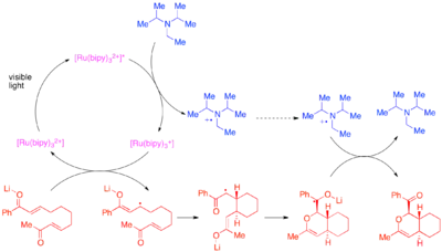 Diagram of Photocatalytic bis-enone hetero-Diels–Alder reaction