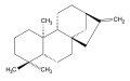 ent-Kaurene