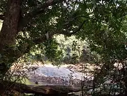 Kuppam River at Eruvatty