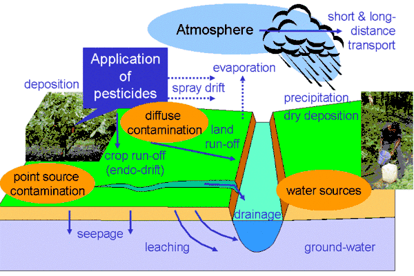 Sources of environmental contamination with pesticides