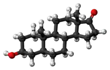 Ball-and-stick model of the epiandrosterone molecule