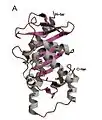 L-Ru5P monomer