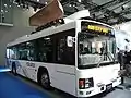 ERGA Non-Step Type-A CNG PDG-LV234L2(Custom)