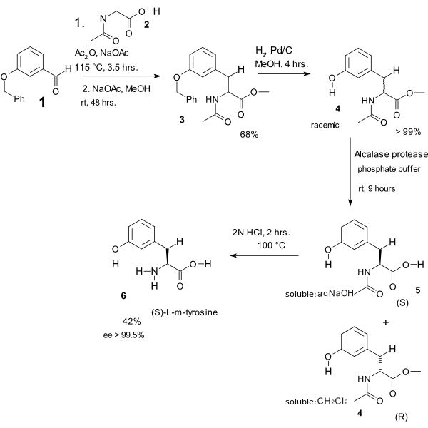 ErlenMeyer Amino Acid Synthesis Tyrosine