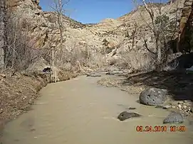 The Escalante River near Escalante, Utah